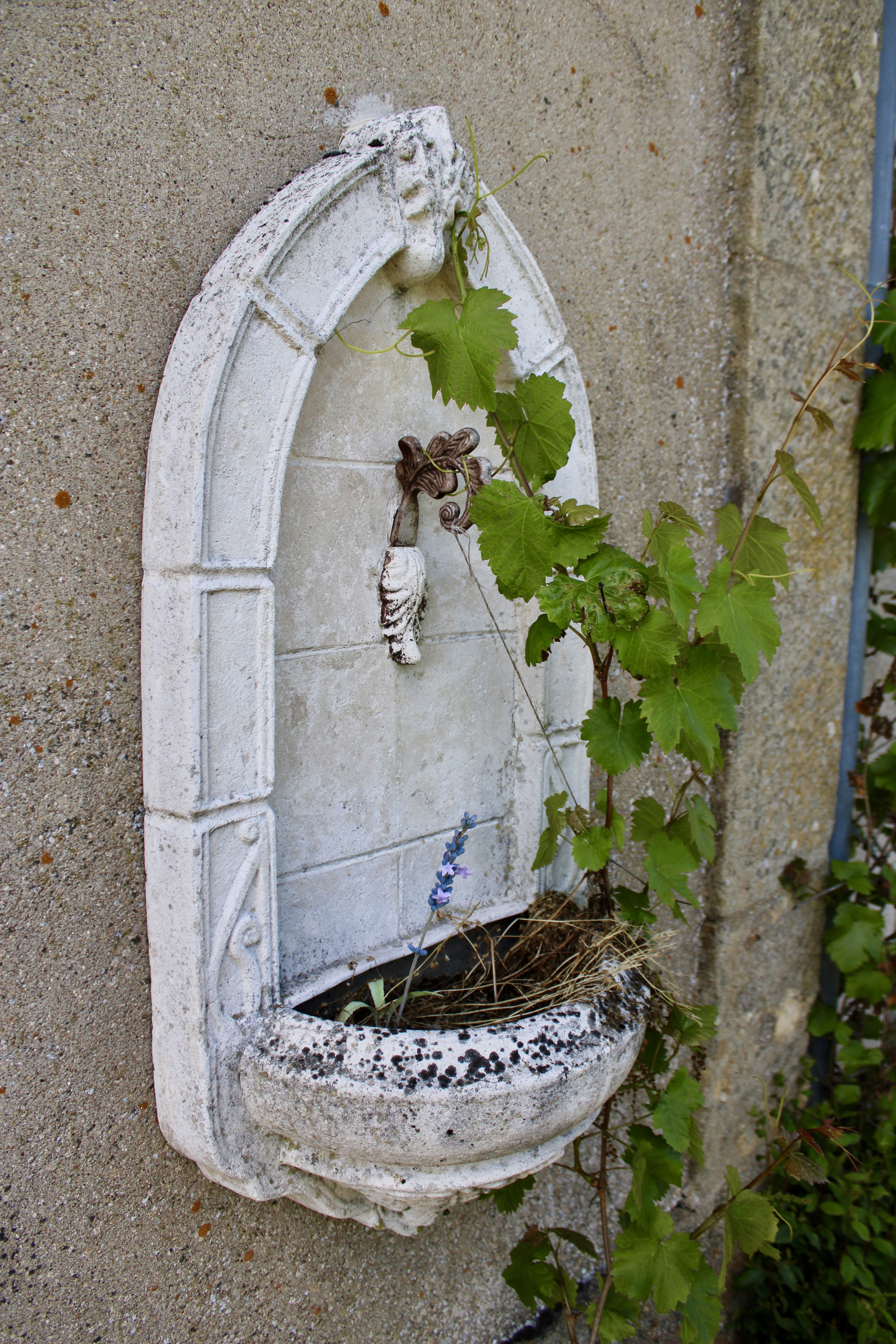- image: 45