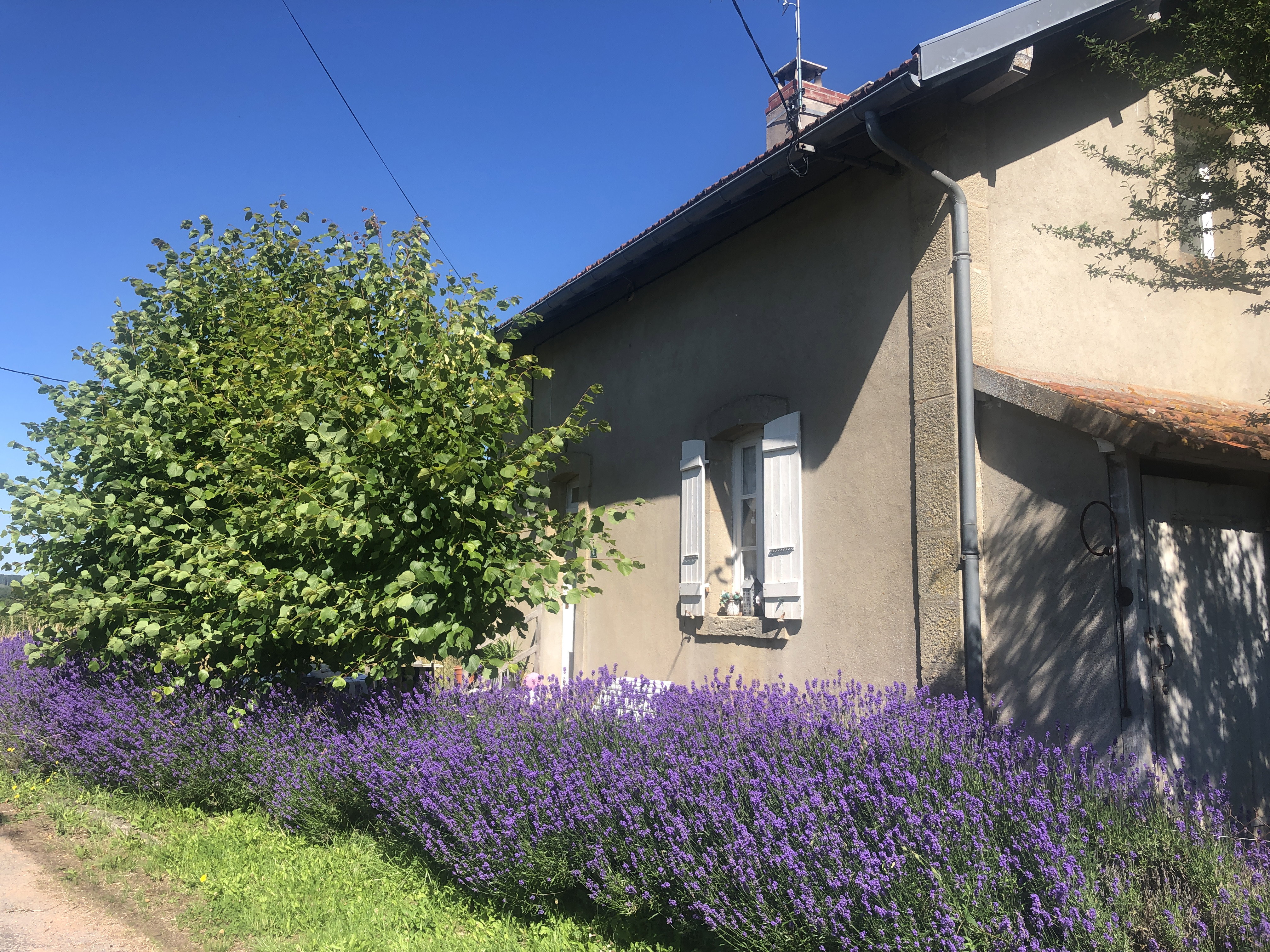 Casa nella natura a Liernais
