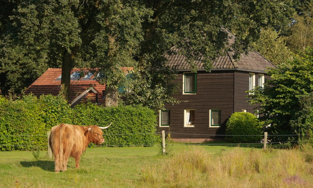 Nature house in Zuidwolde