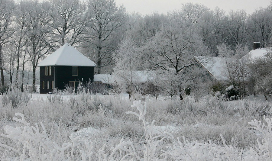 - image: 26