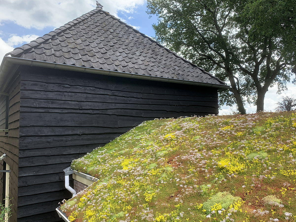 Natuurhuisje in Zuidwolde