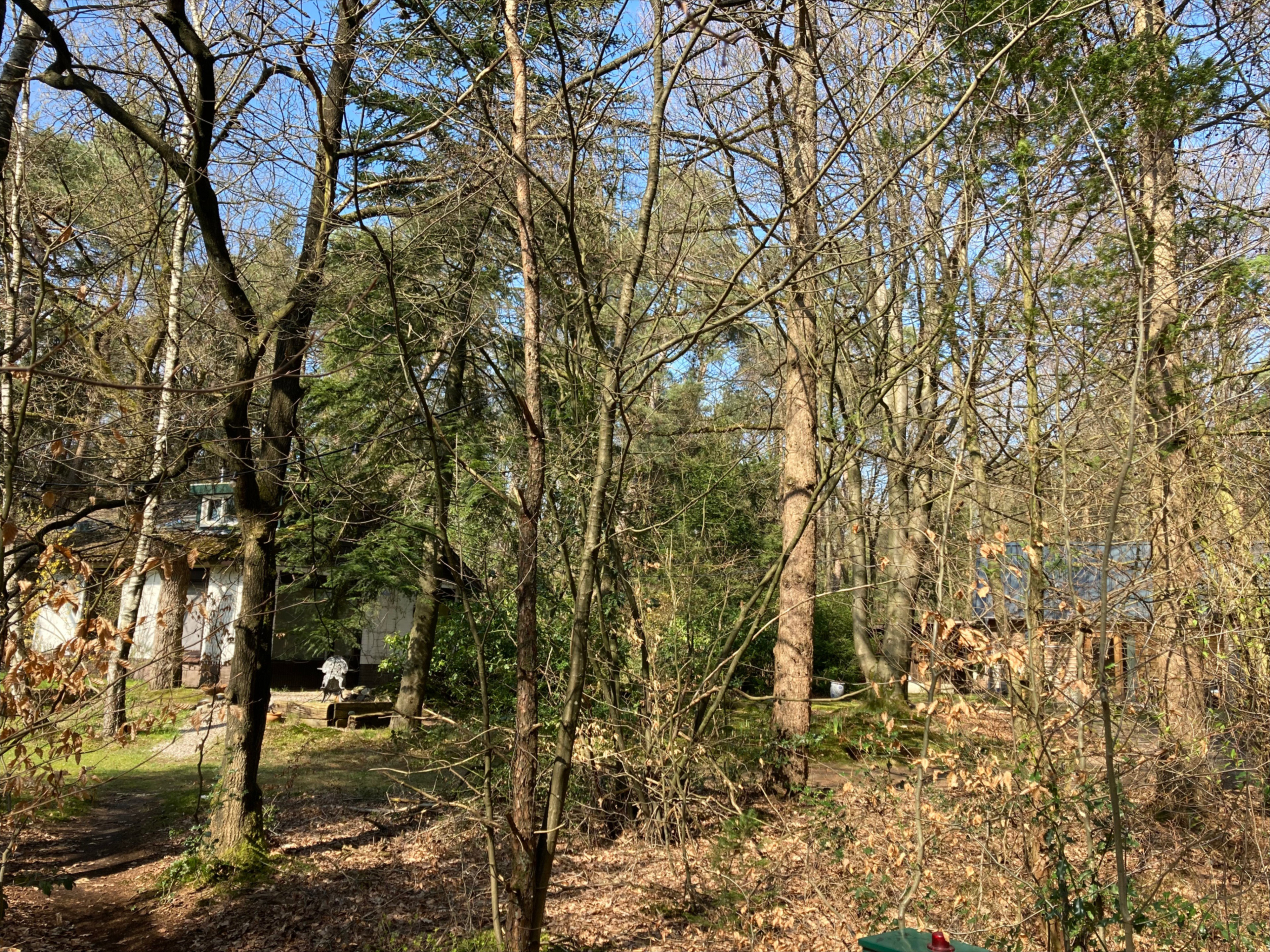 Casa nella natura a Emst
