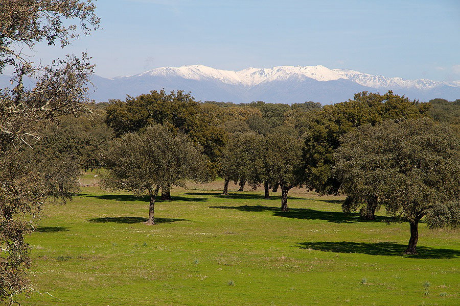 - image: 19