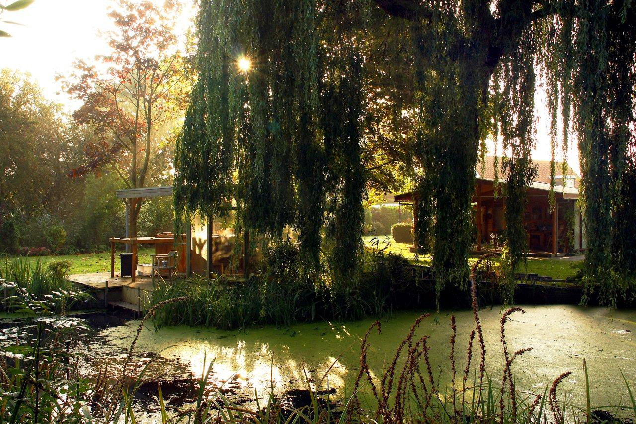 Maison nature à Hagestein