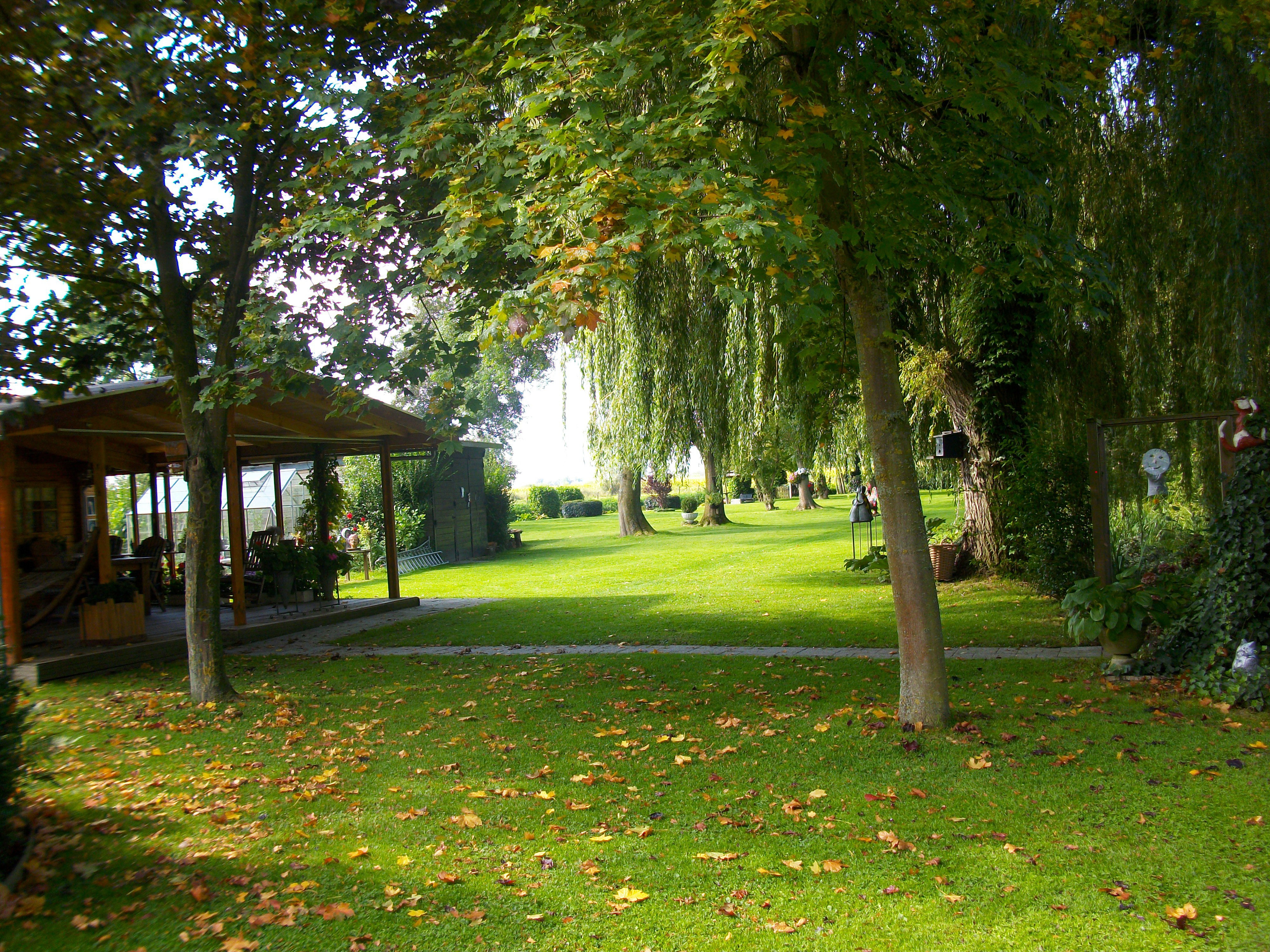 Maison nature à Hagestein