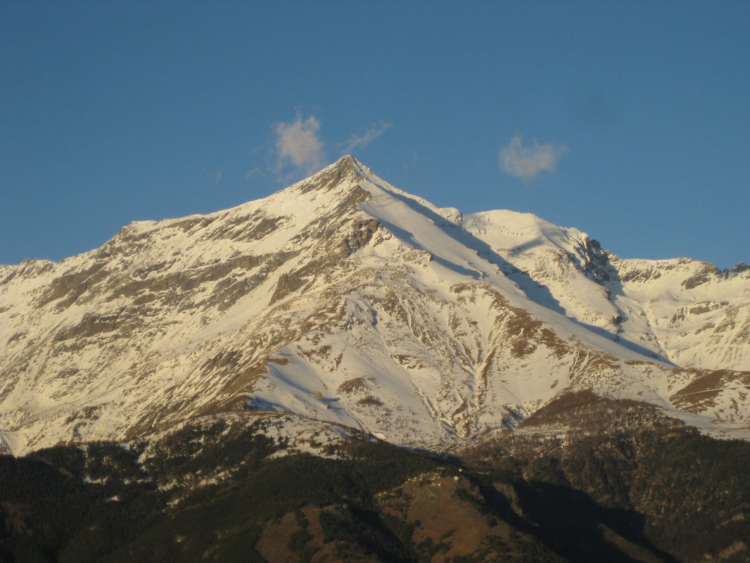 - image: 25