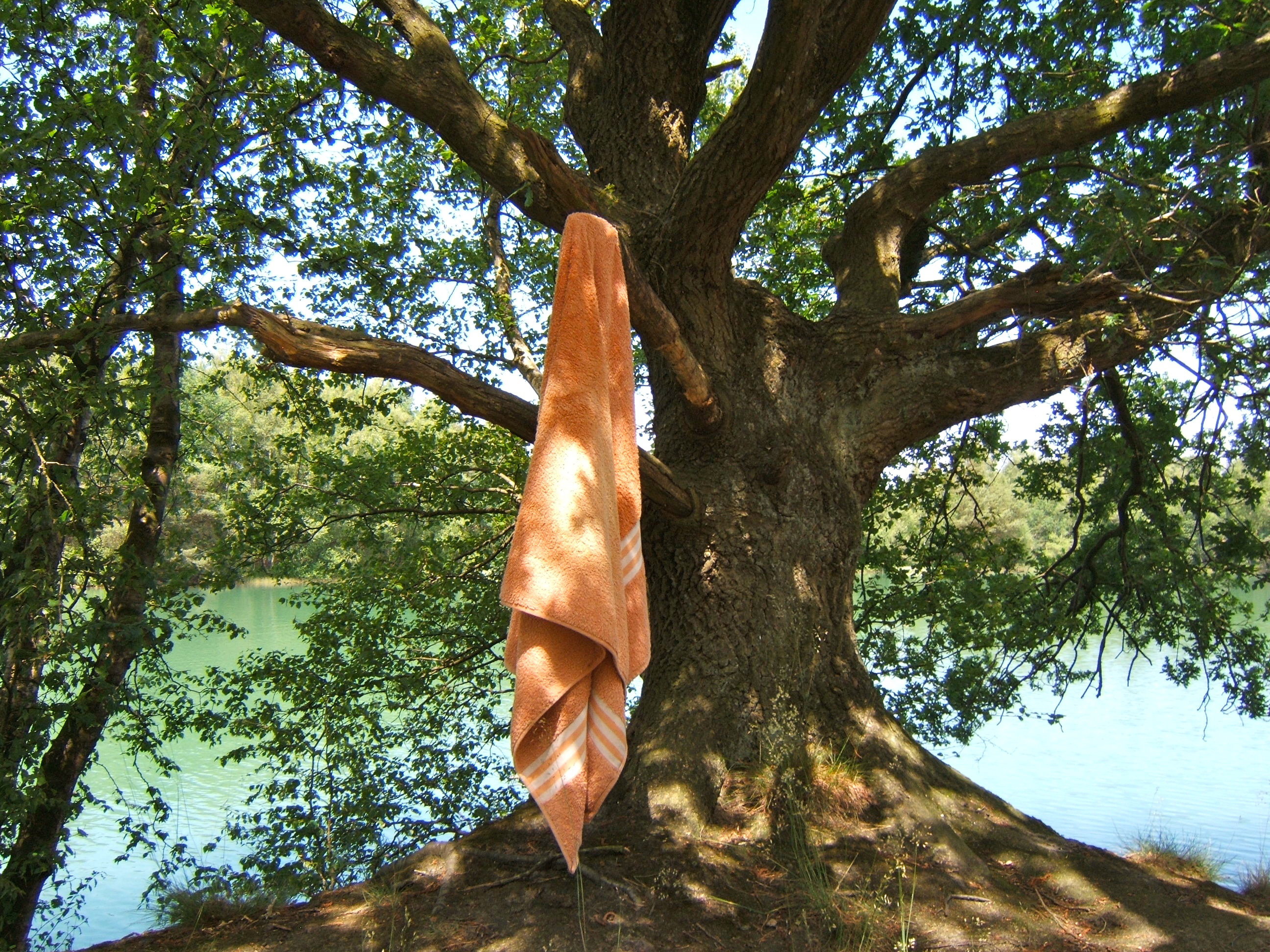 Natuurhuisje in Boijl