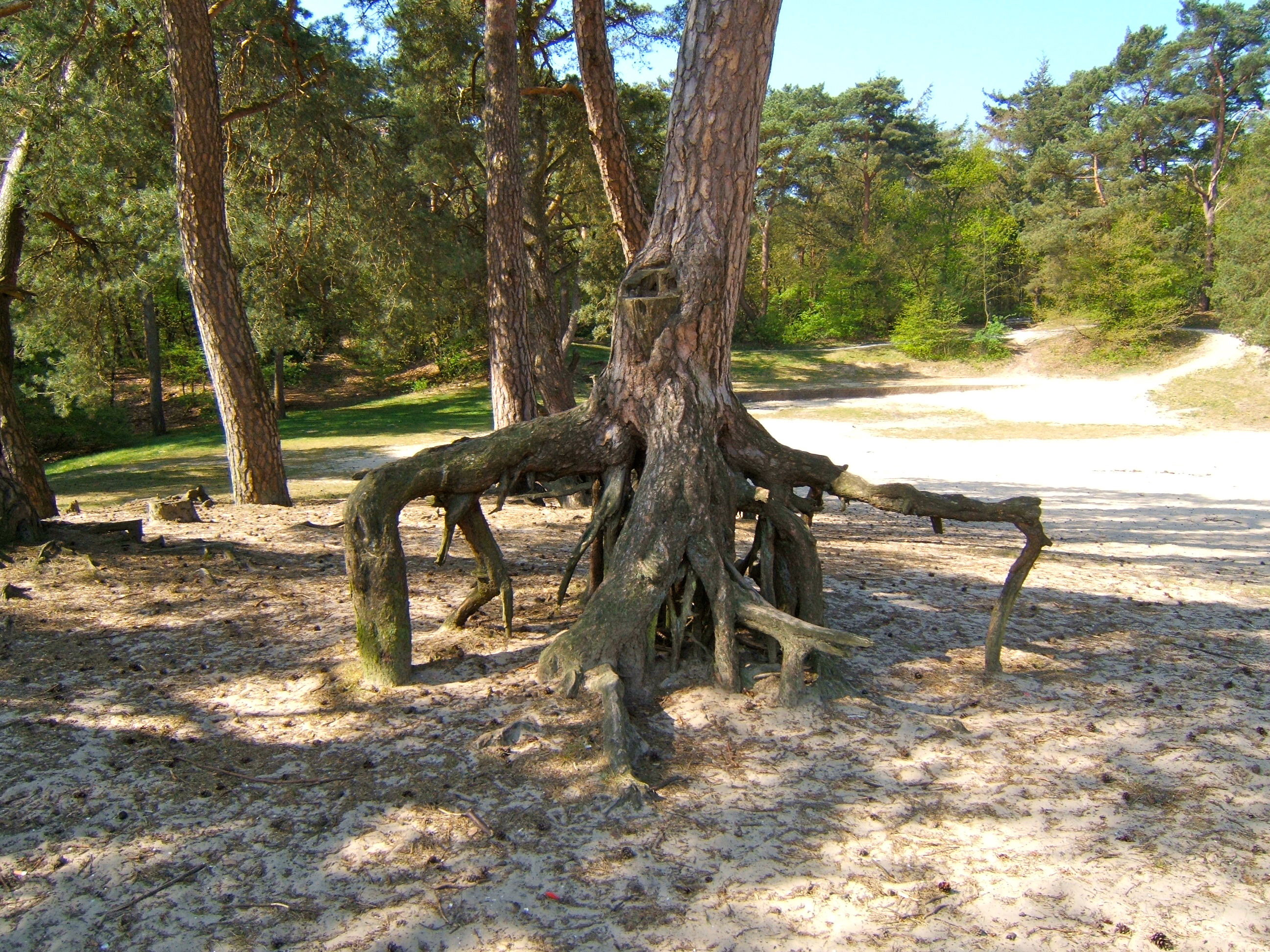 Natuurhuisje in Boijl