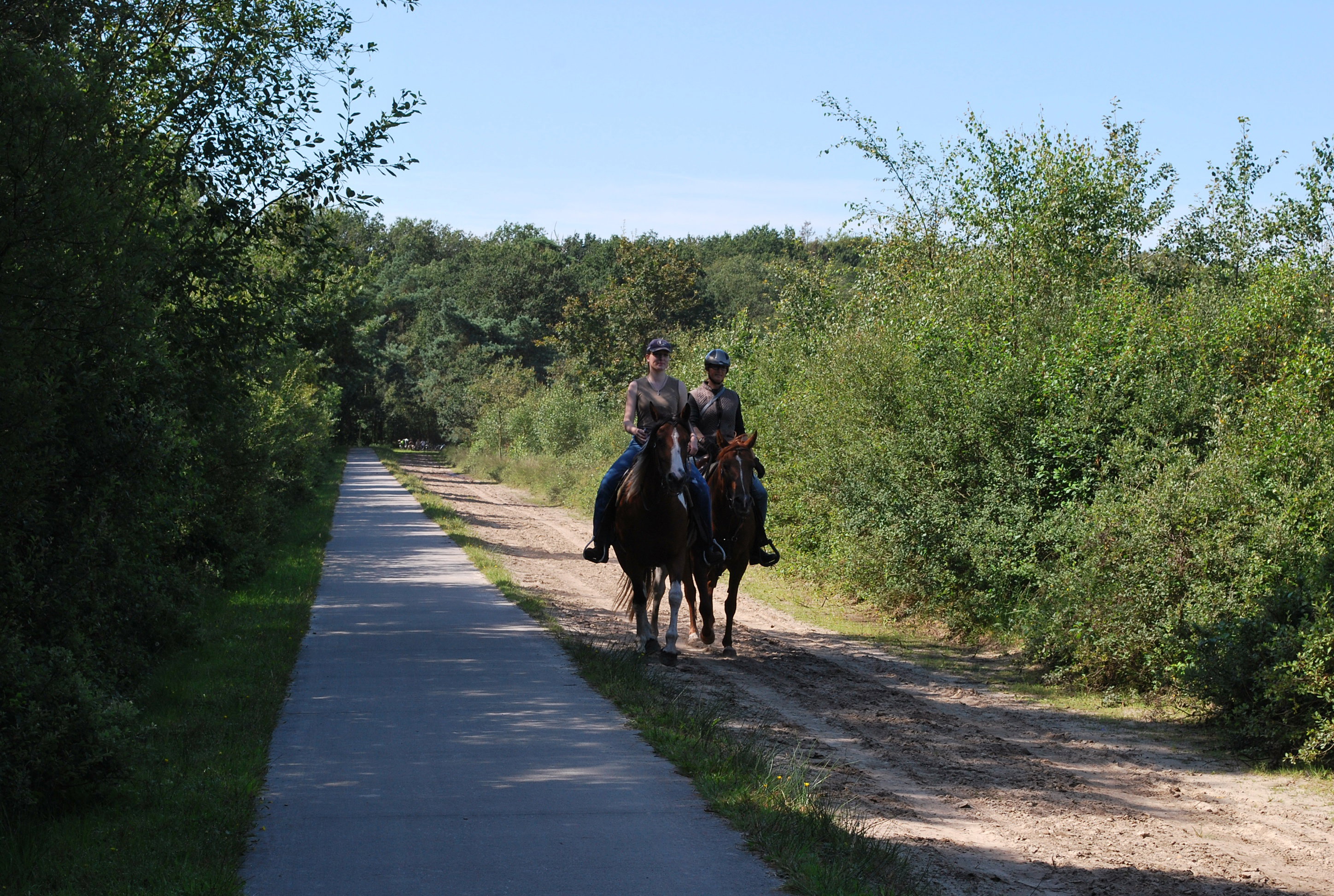 Natuurhuisje in Boijl