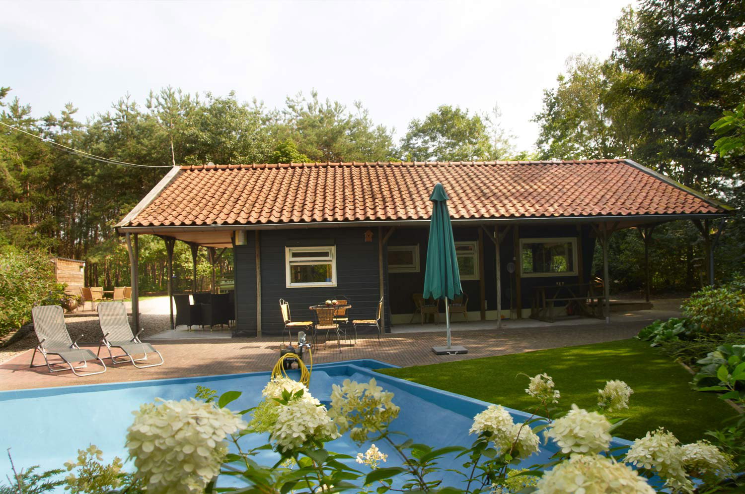 Maison nature à Vragender