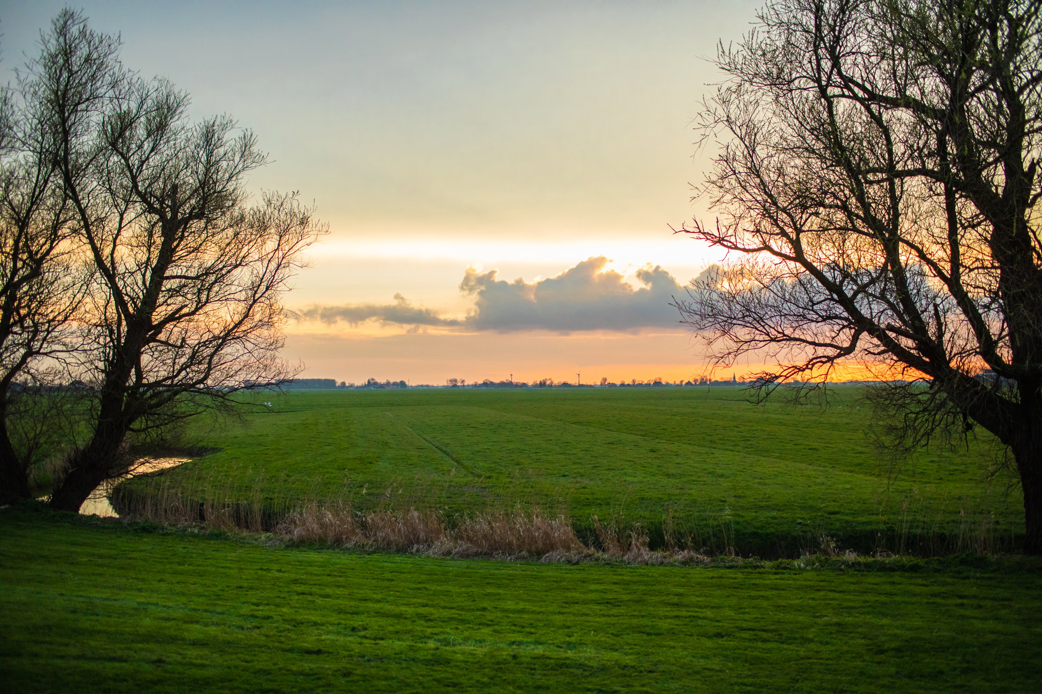 Naturhäuschen in Jannum