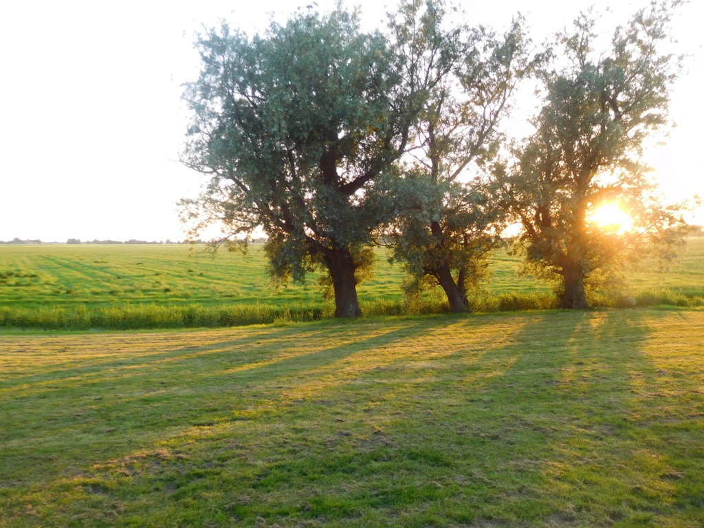 Maison nature à Jannum