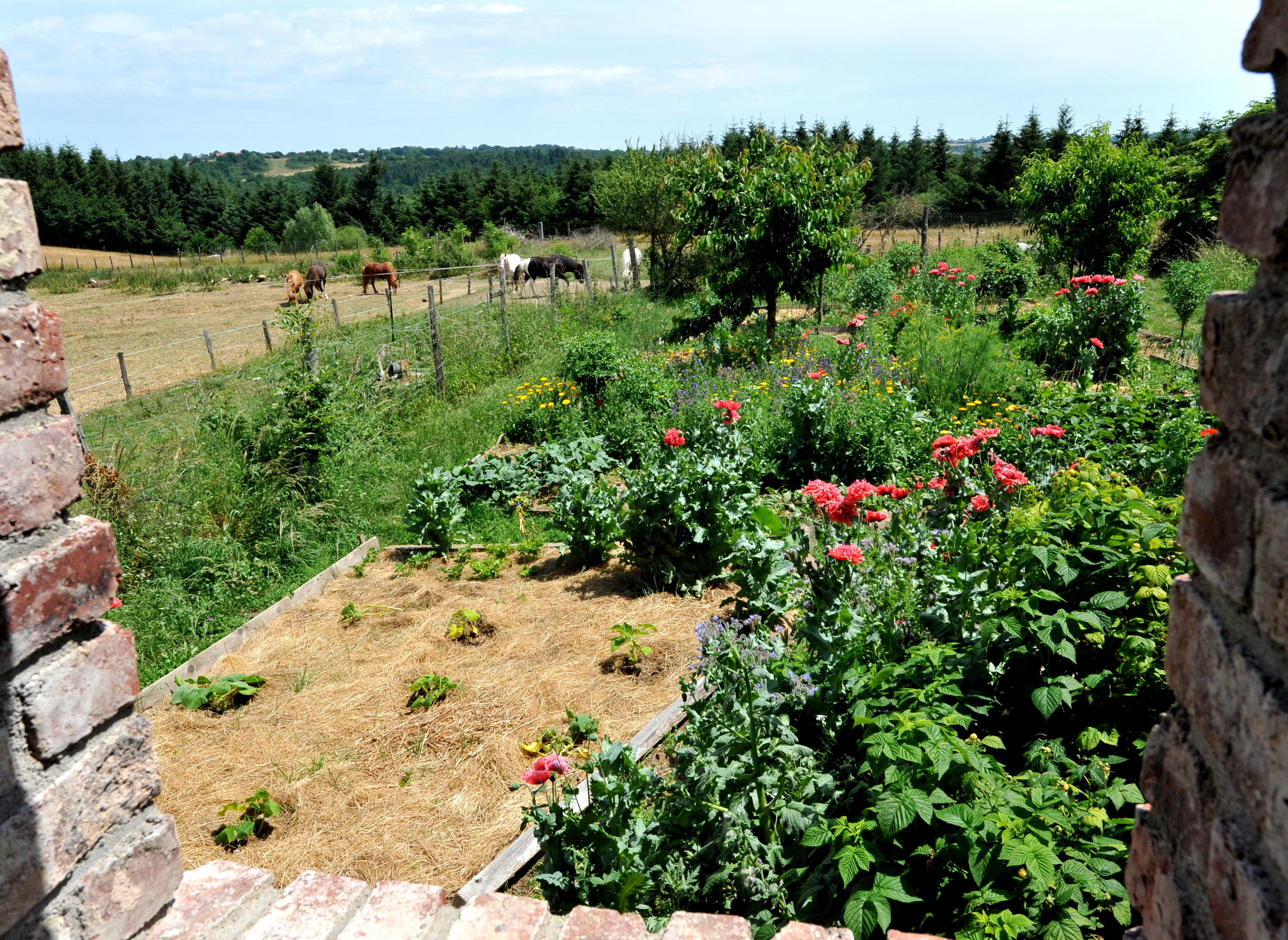 Natuurhuisje in Vernusse