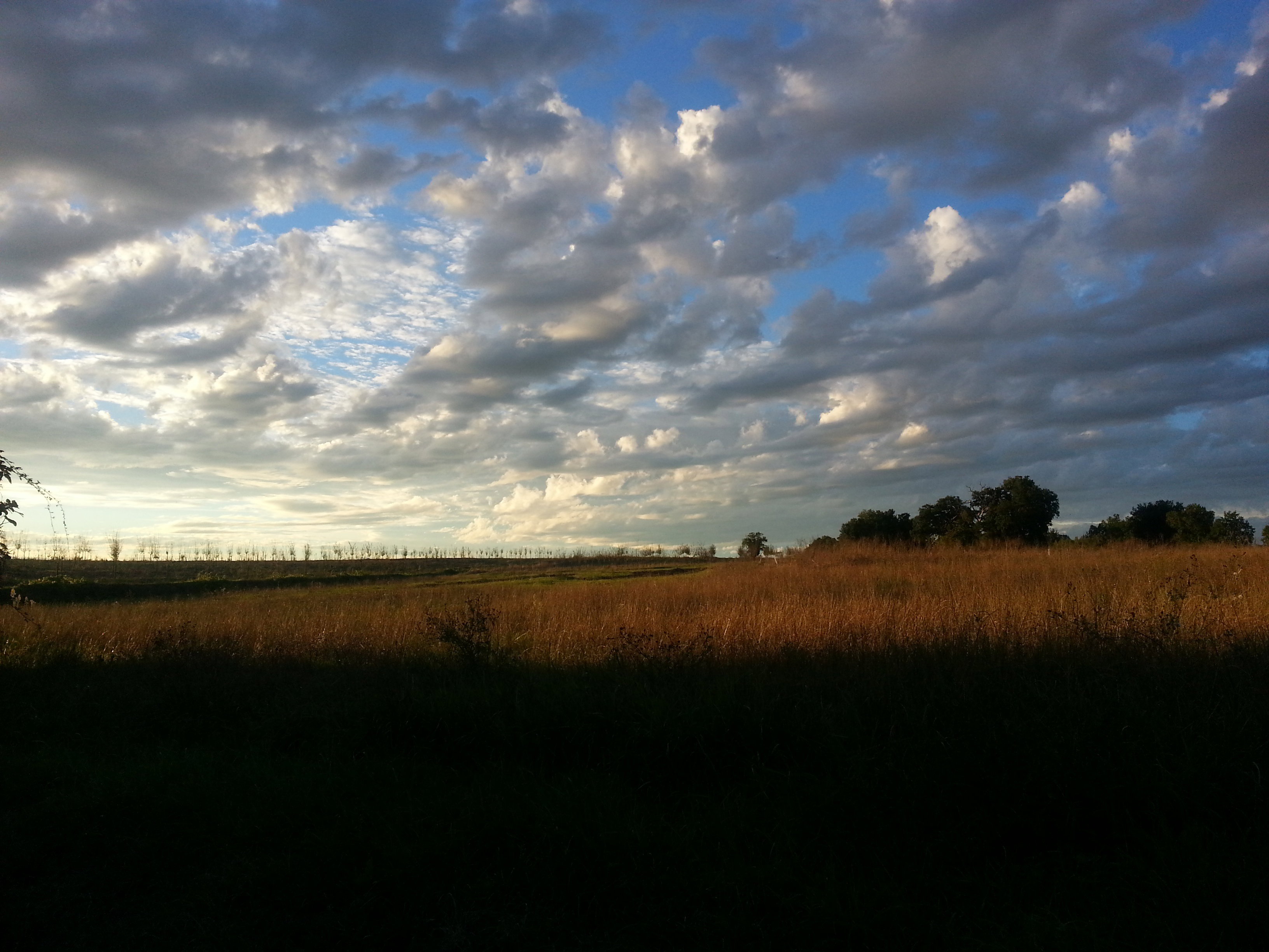 - image: 19