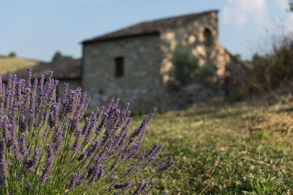 - image: 19