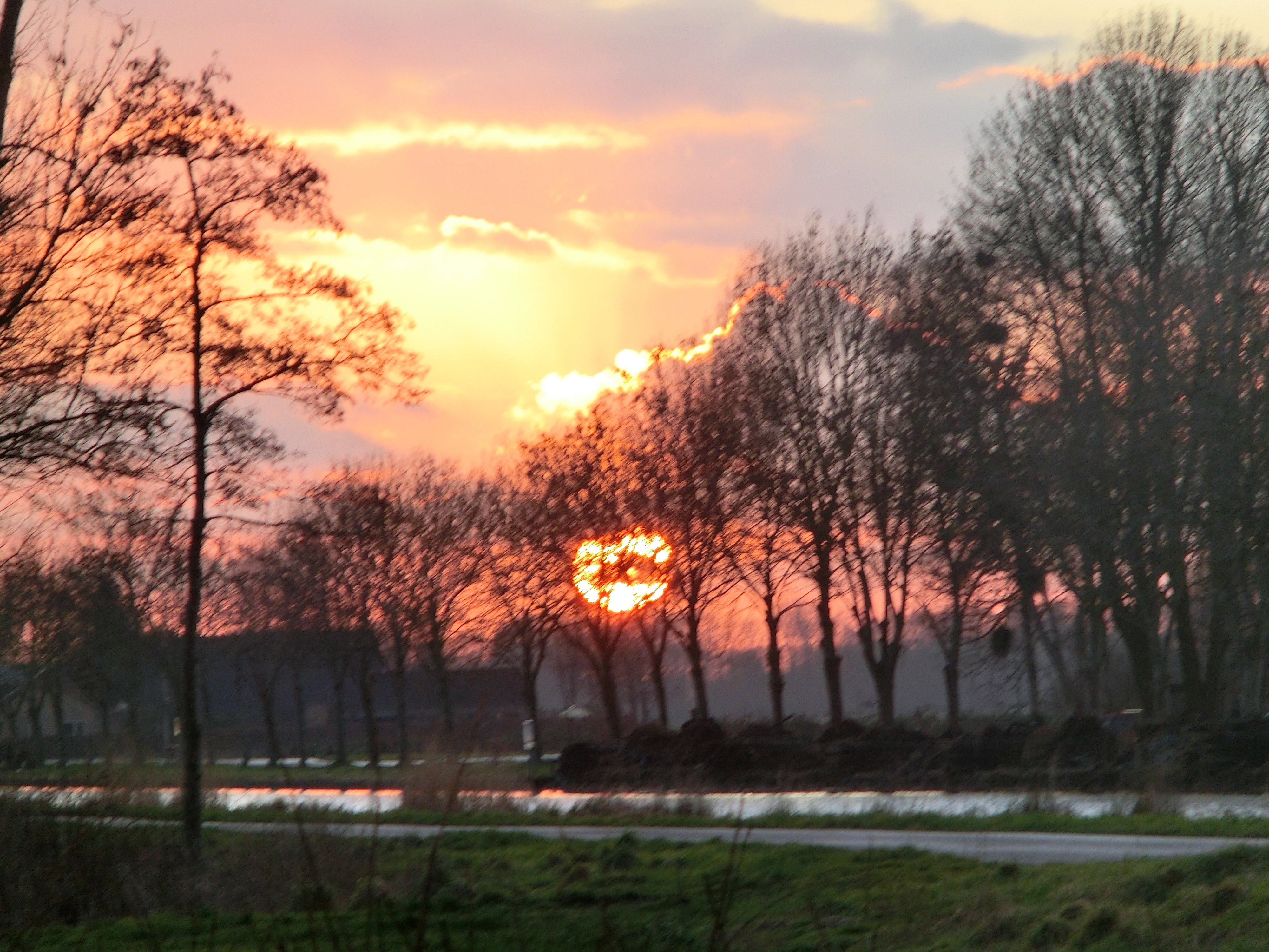 - image: 11