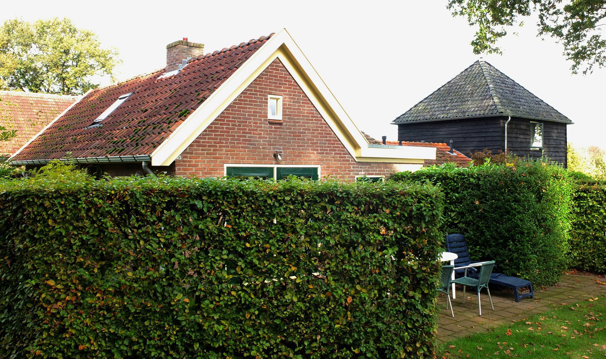 - image: 12