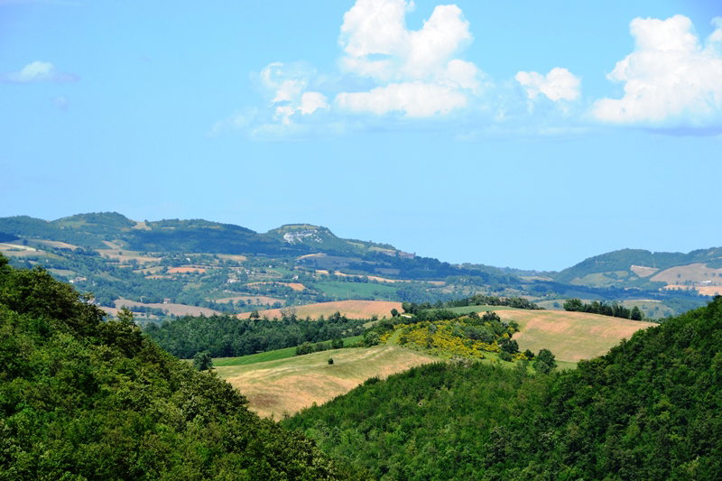 - image: 24