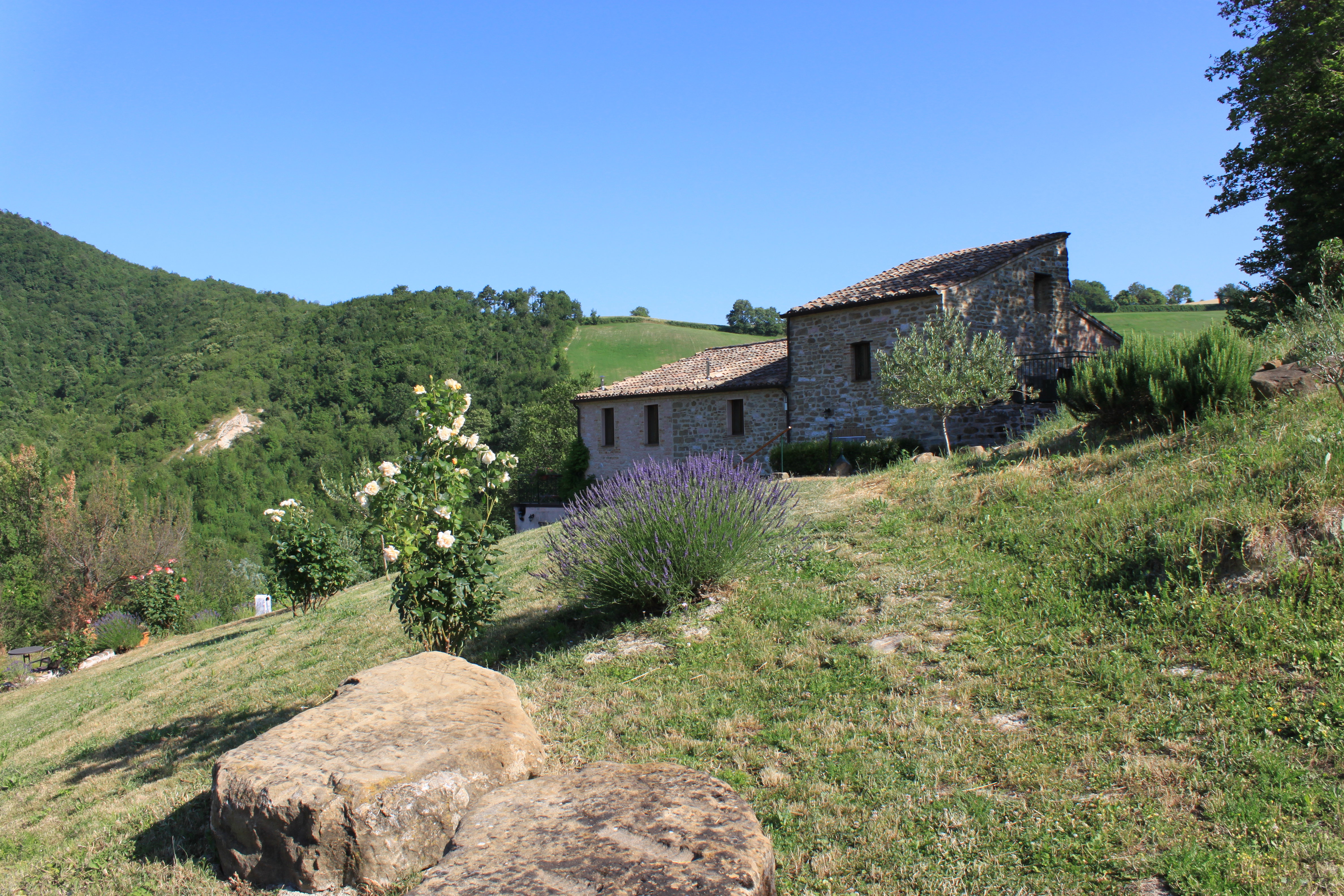 - image: 16
