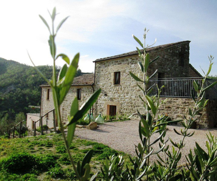 - image: 25