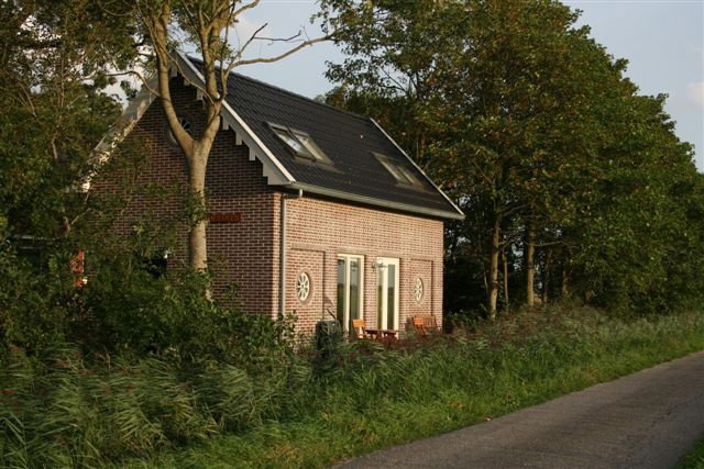 - image: 1