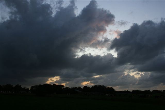 - image: 9