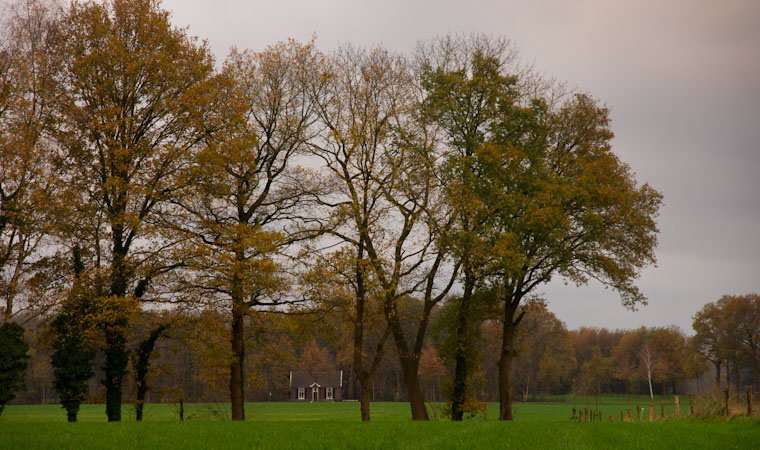 - image: 52