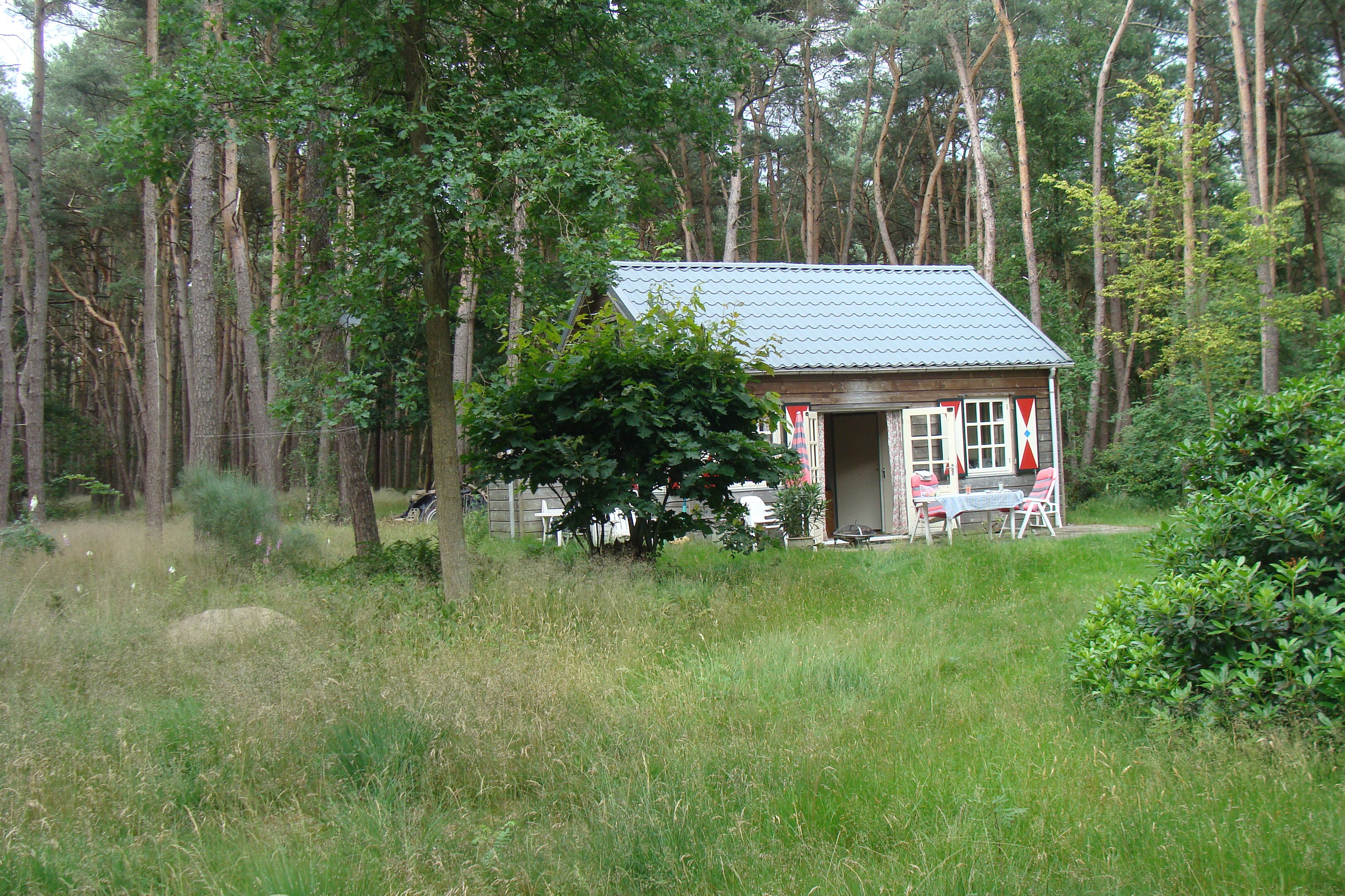 - image: 2