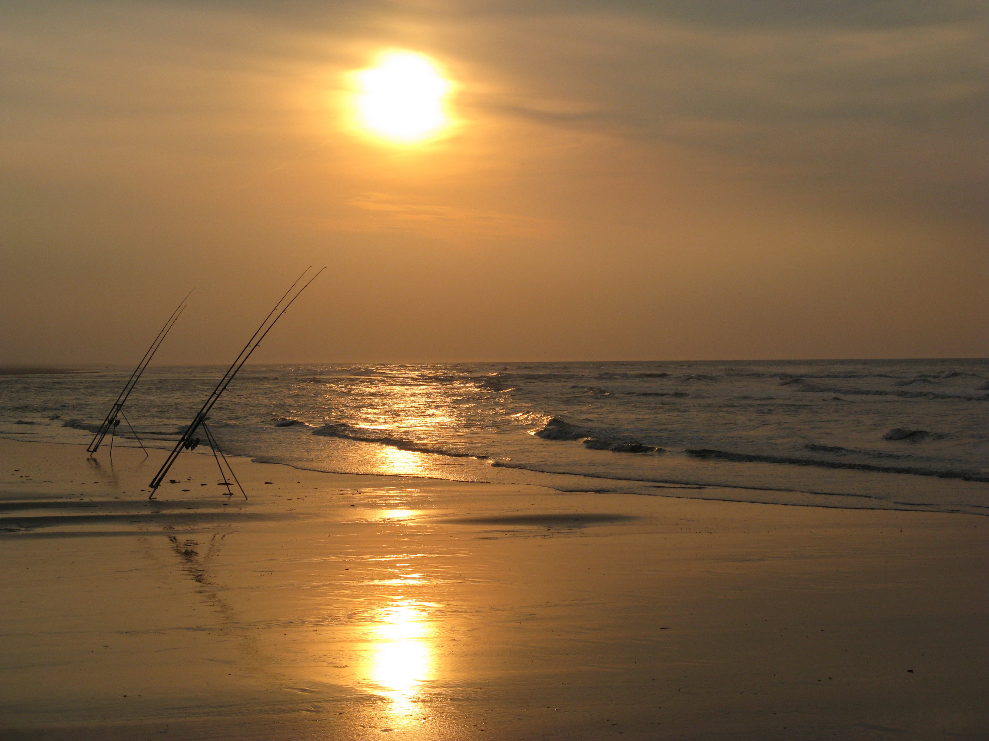 - image: 32