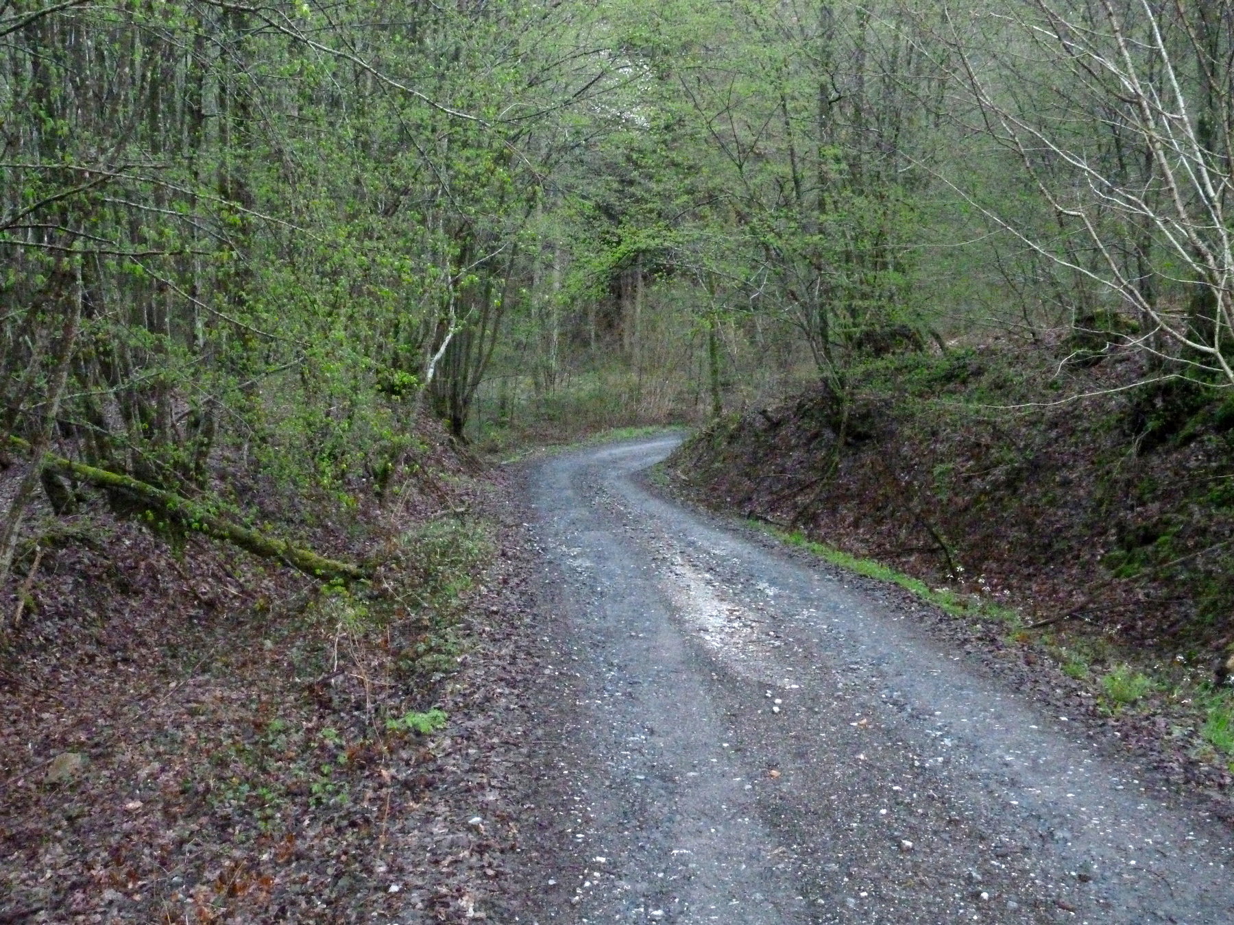 - image: 48