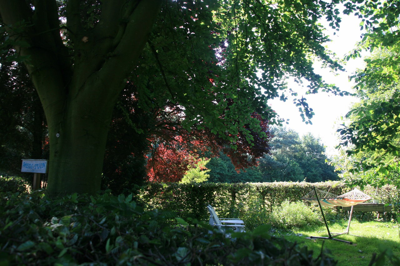 - image: 28