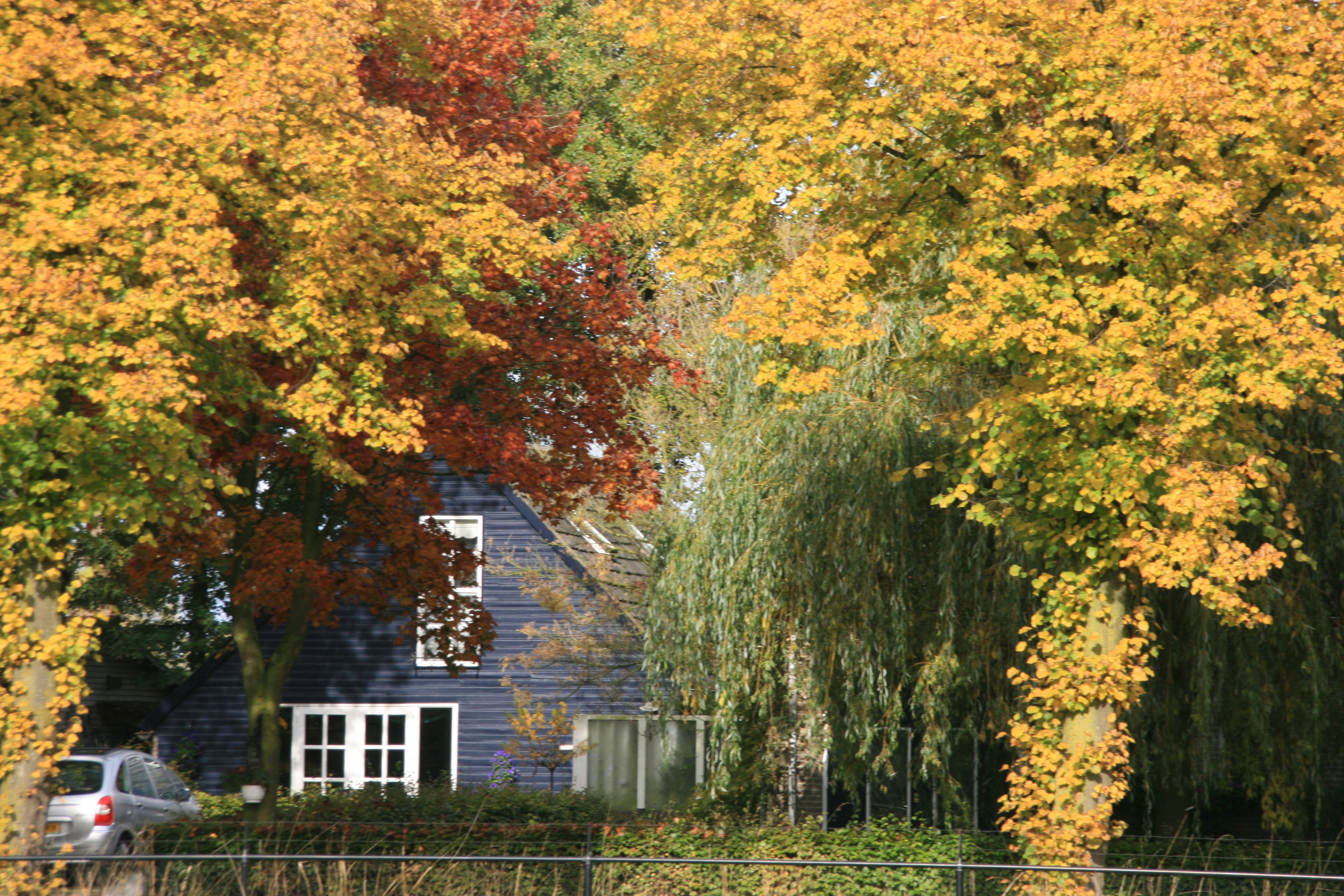 Naturhäuschen in Budel