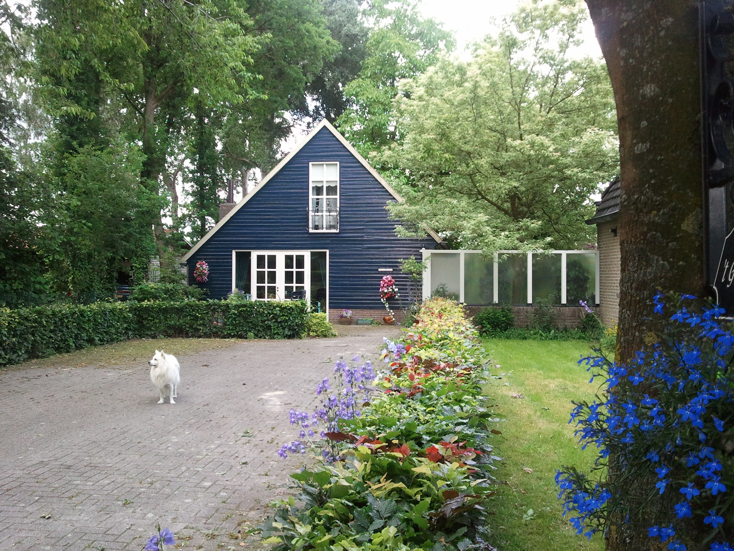 Naturhäuschen in Budel
