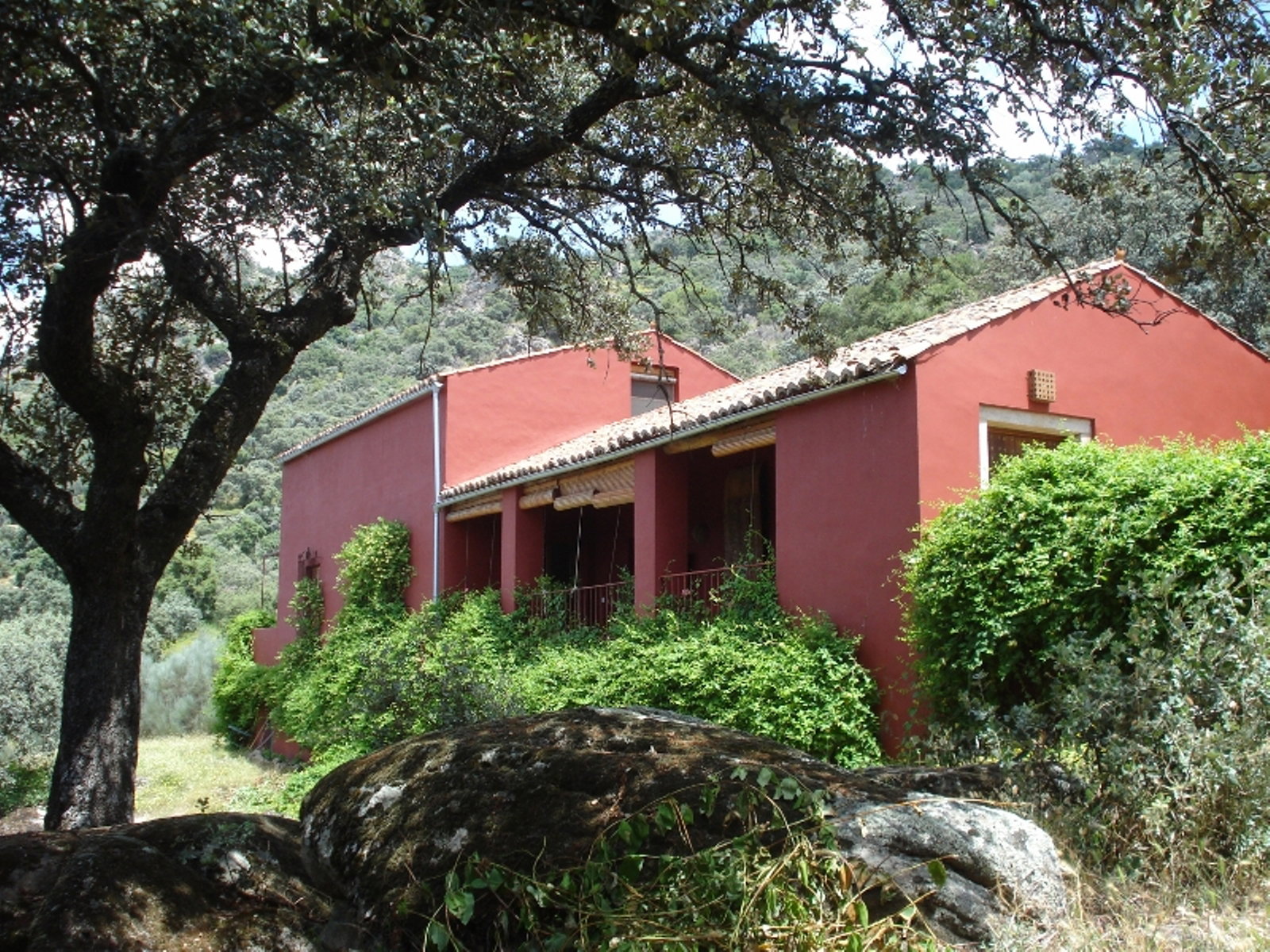 - image: 13