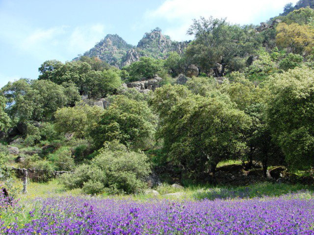 - image: 25