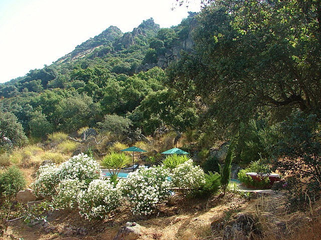 - image: 28