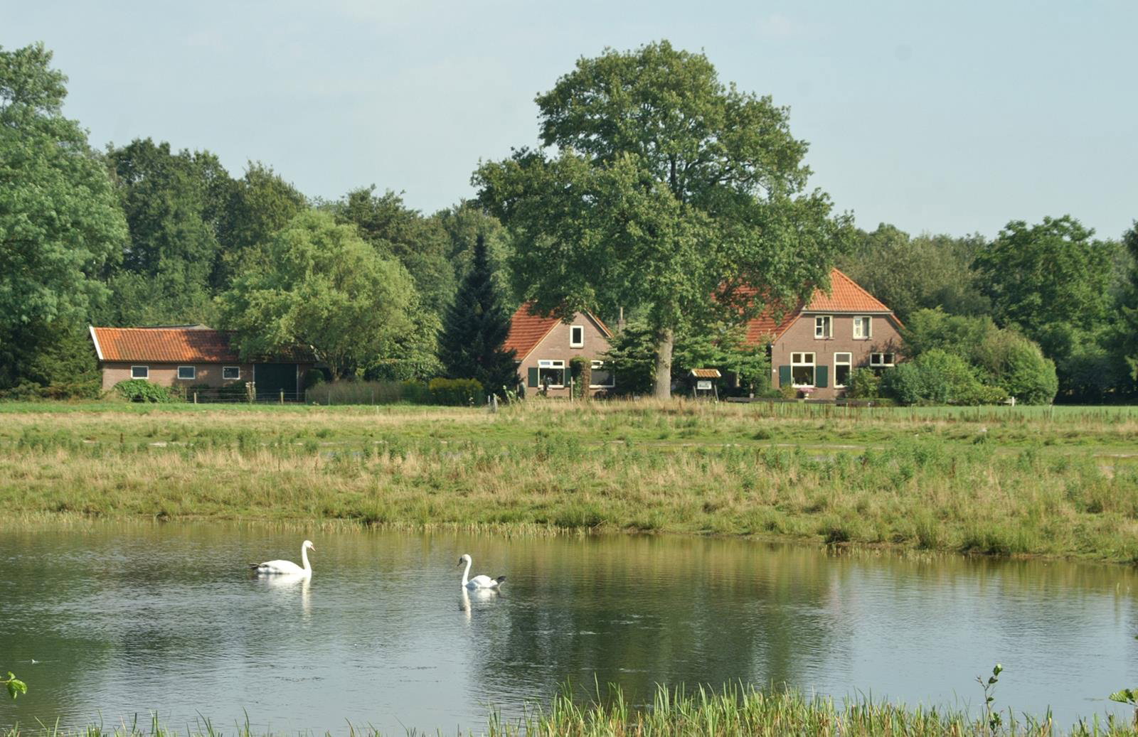 Maison nature à Laren Gld