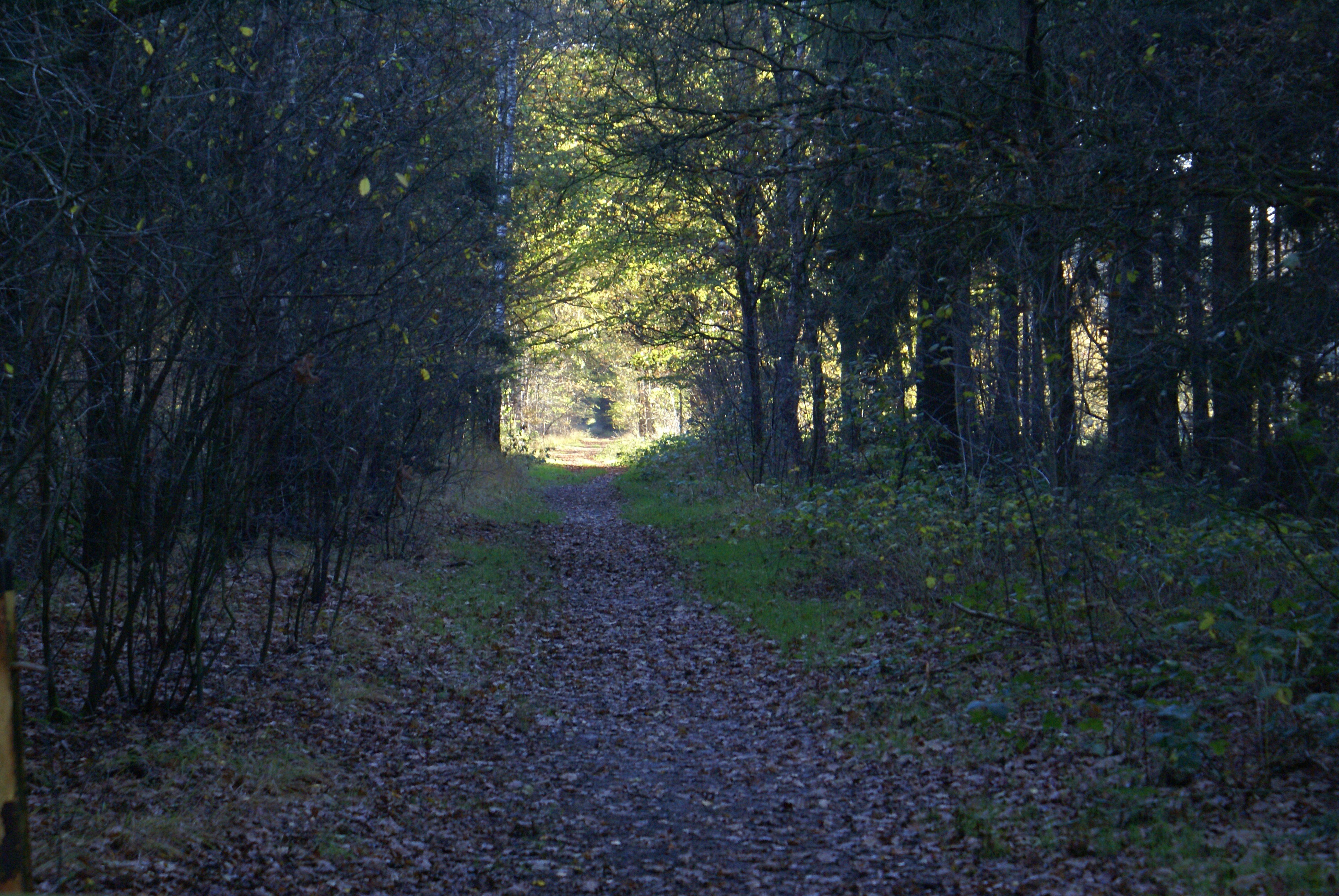 - image: 19