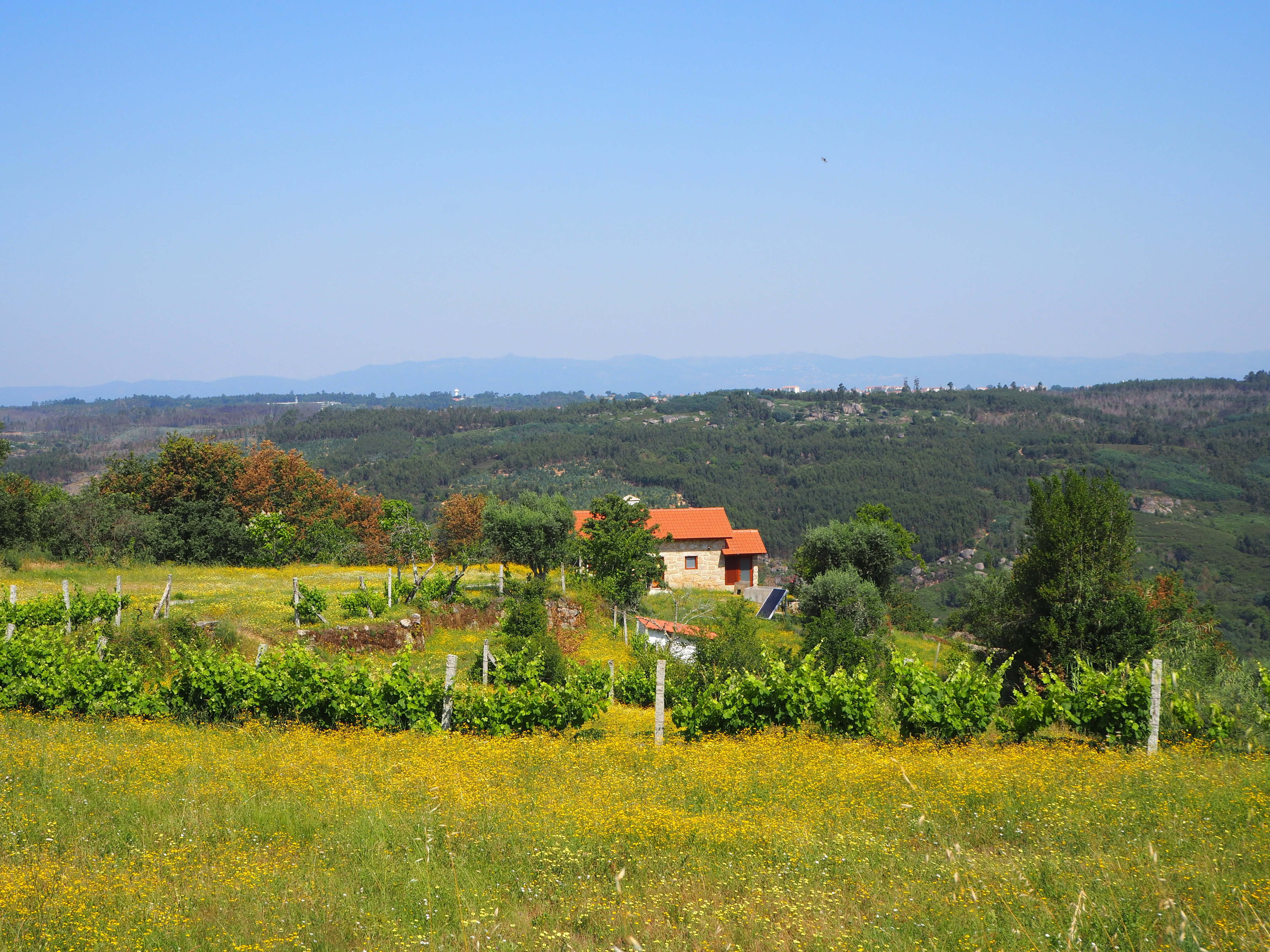 Casa nella natura a Povoa de Midoes (Tabua)