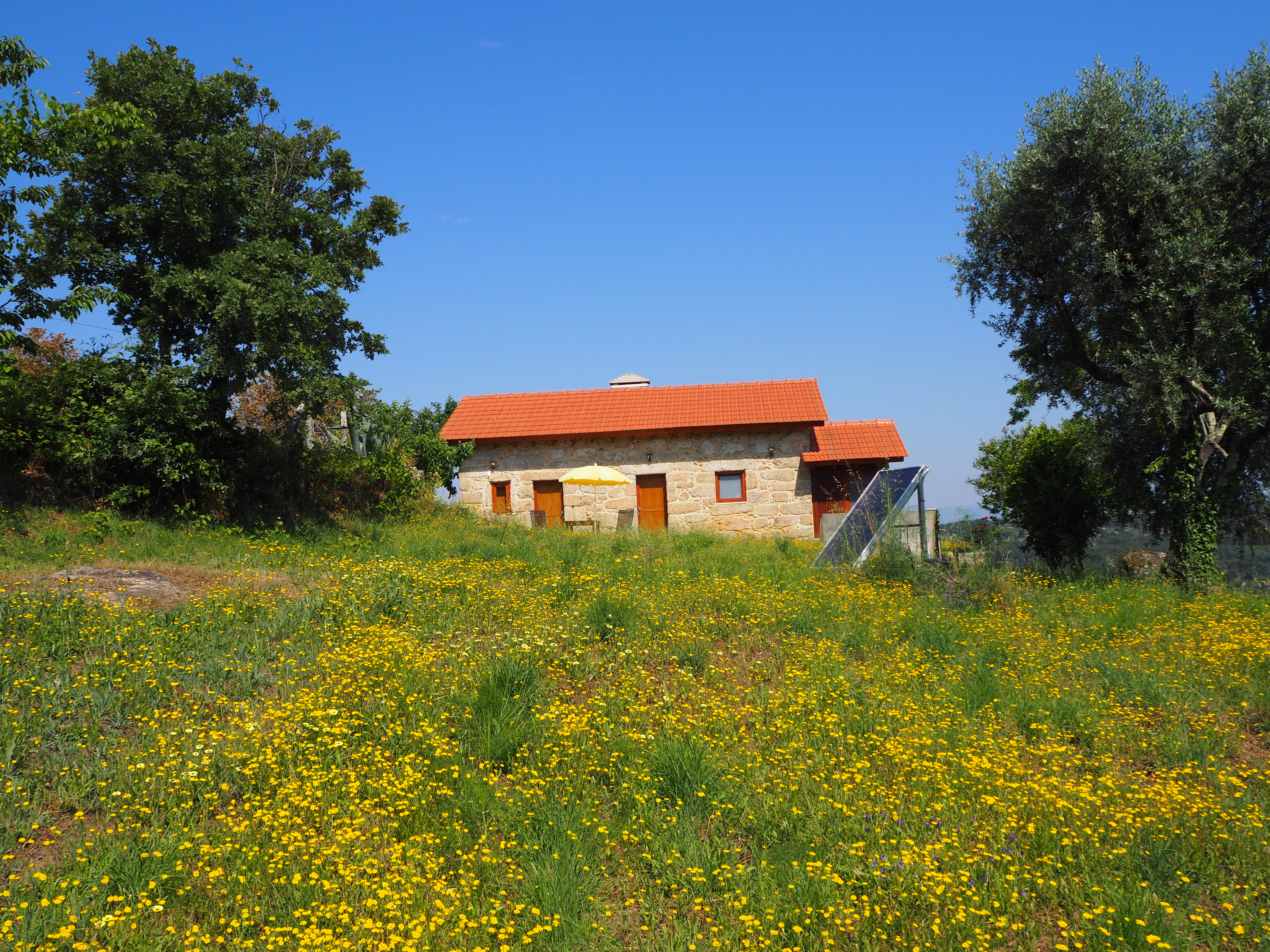 Casa nella natura a Povoa de Midoes (Tabua)