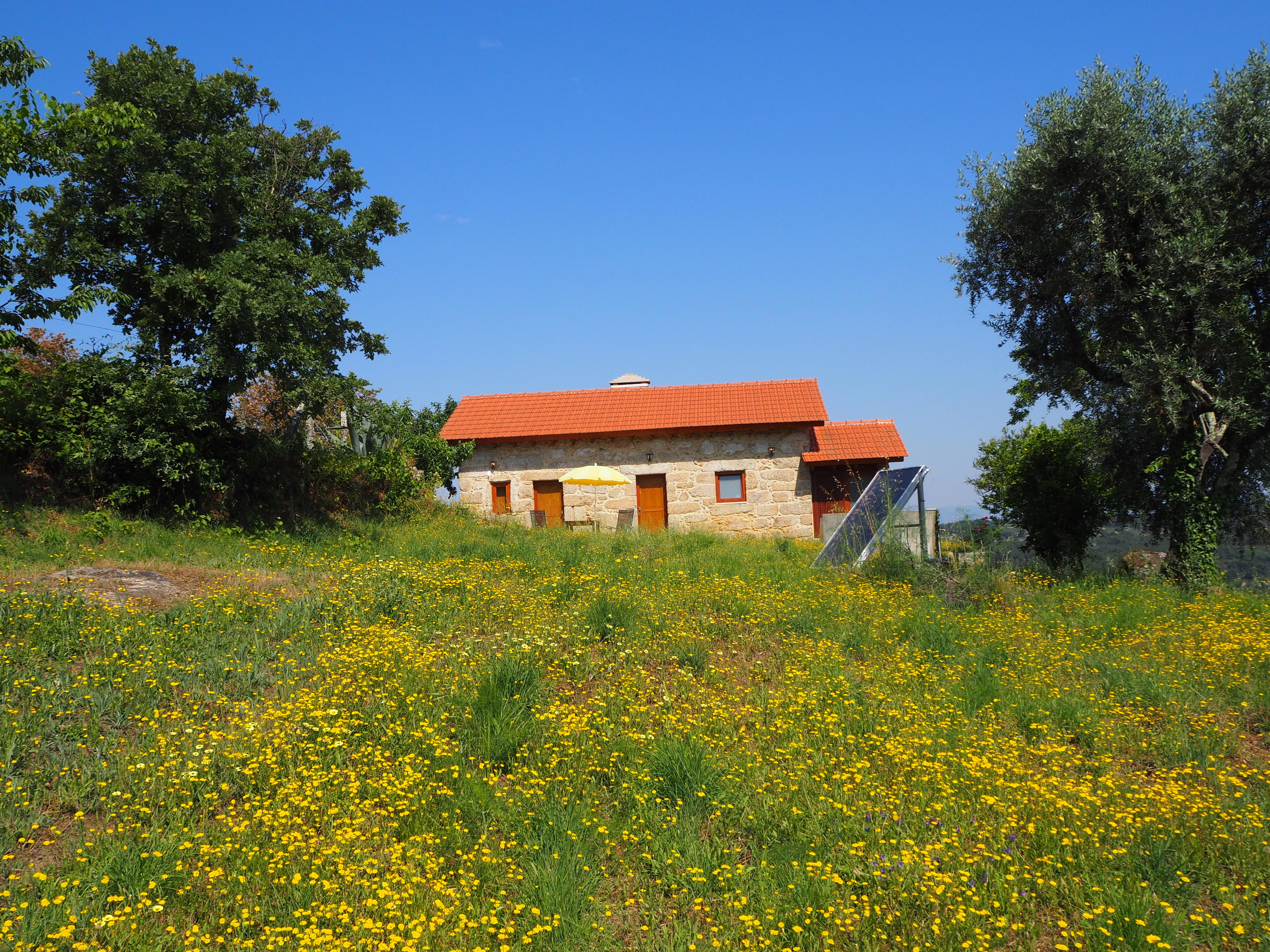 Nature house in Povoa de Midoes (Tabua)