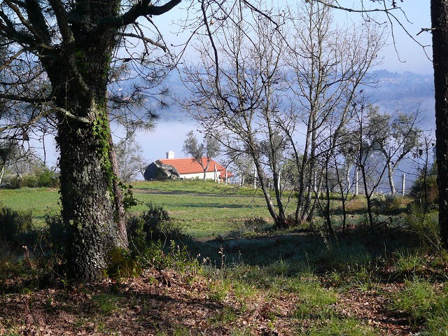 Natuurhuisje in Povoa de Midoes (Tabua)