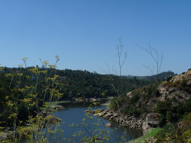 - image: 12