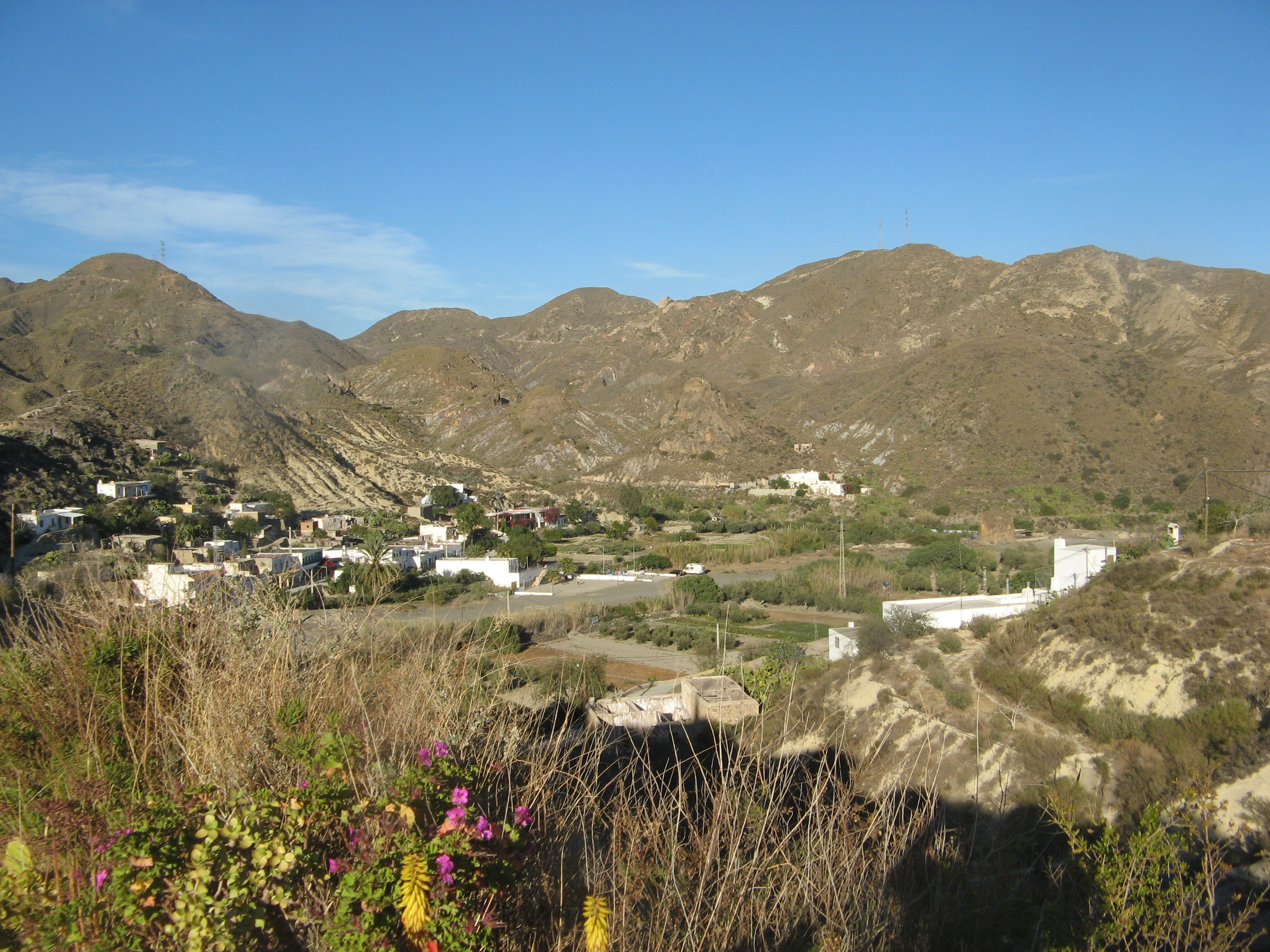 - image: 26
