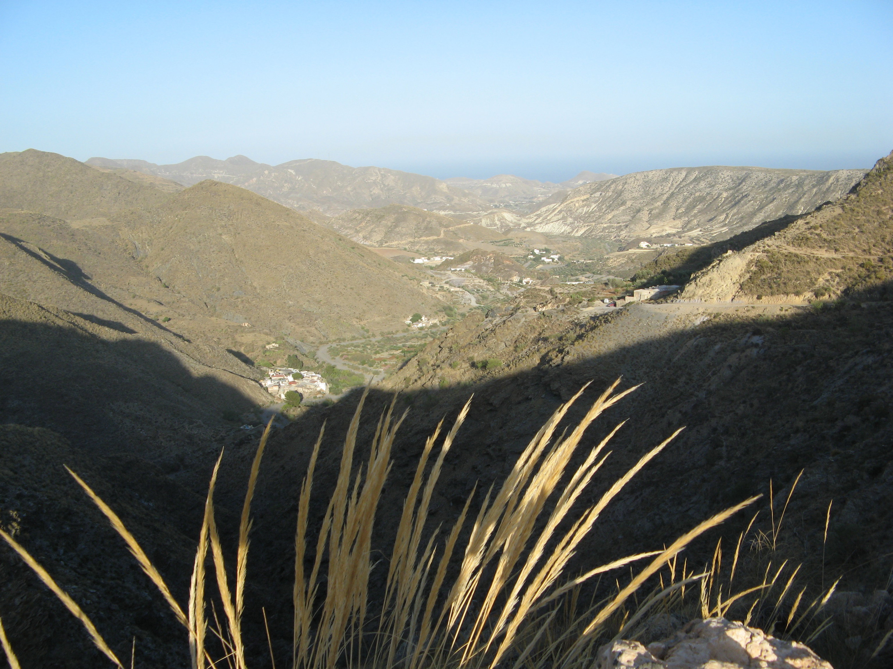 - image: 29