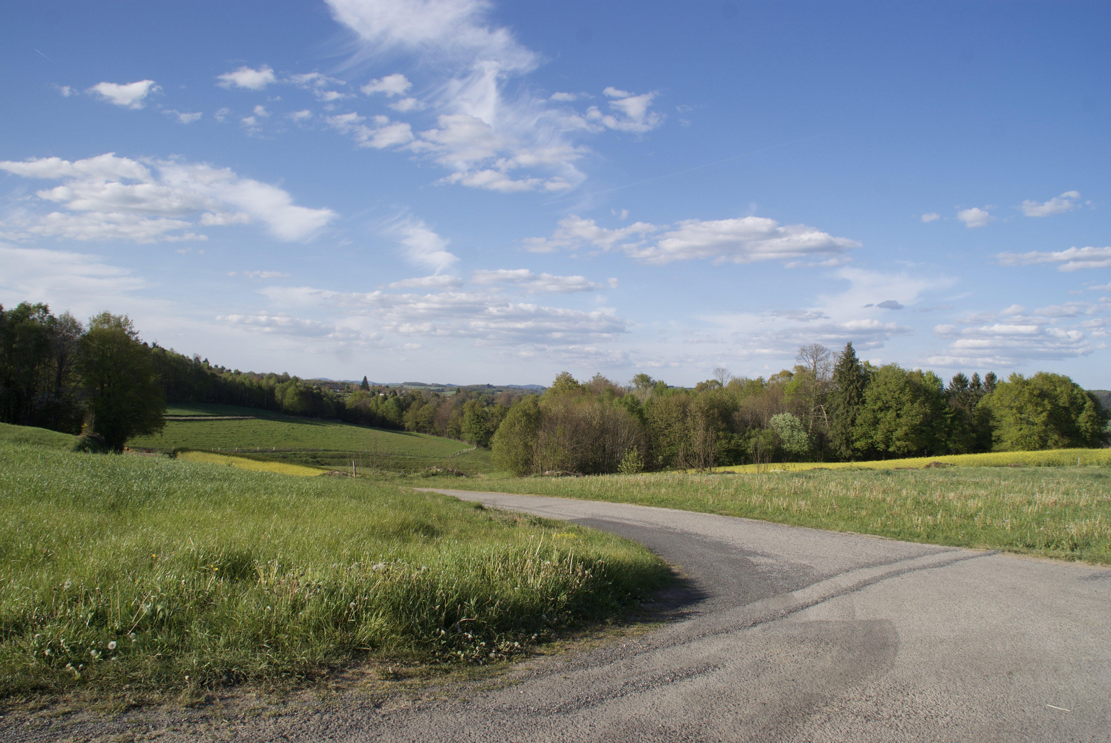- image: 21