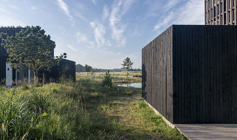 Nature house in Wapserveen