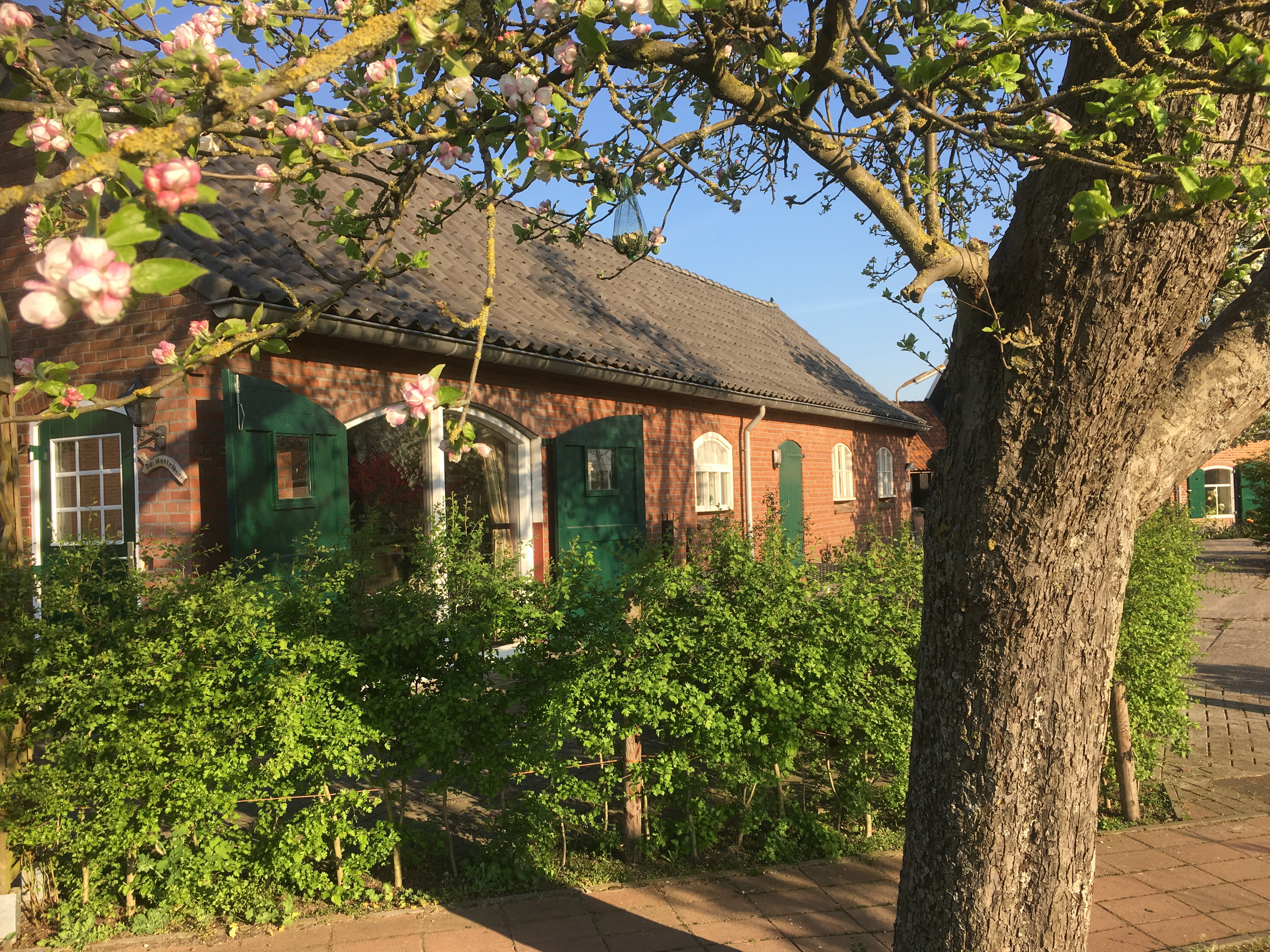 Naturhäuschen in Aalten