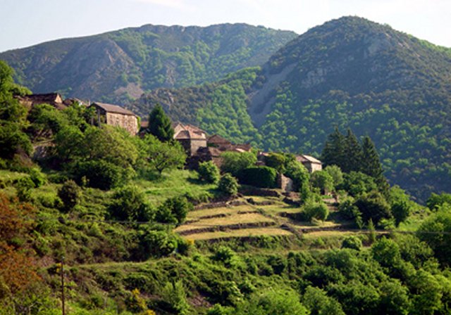 - image: 25