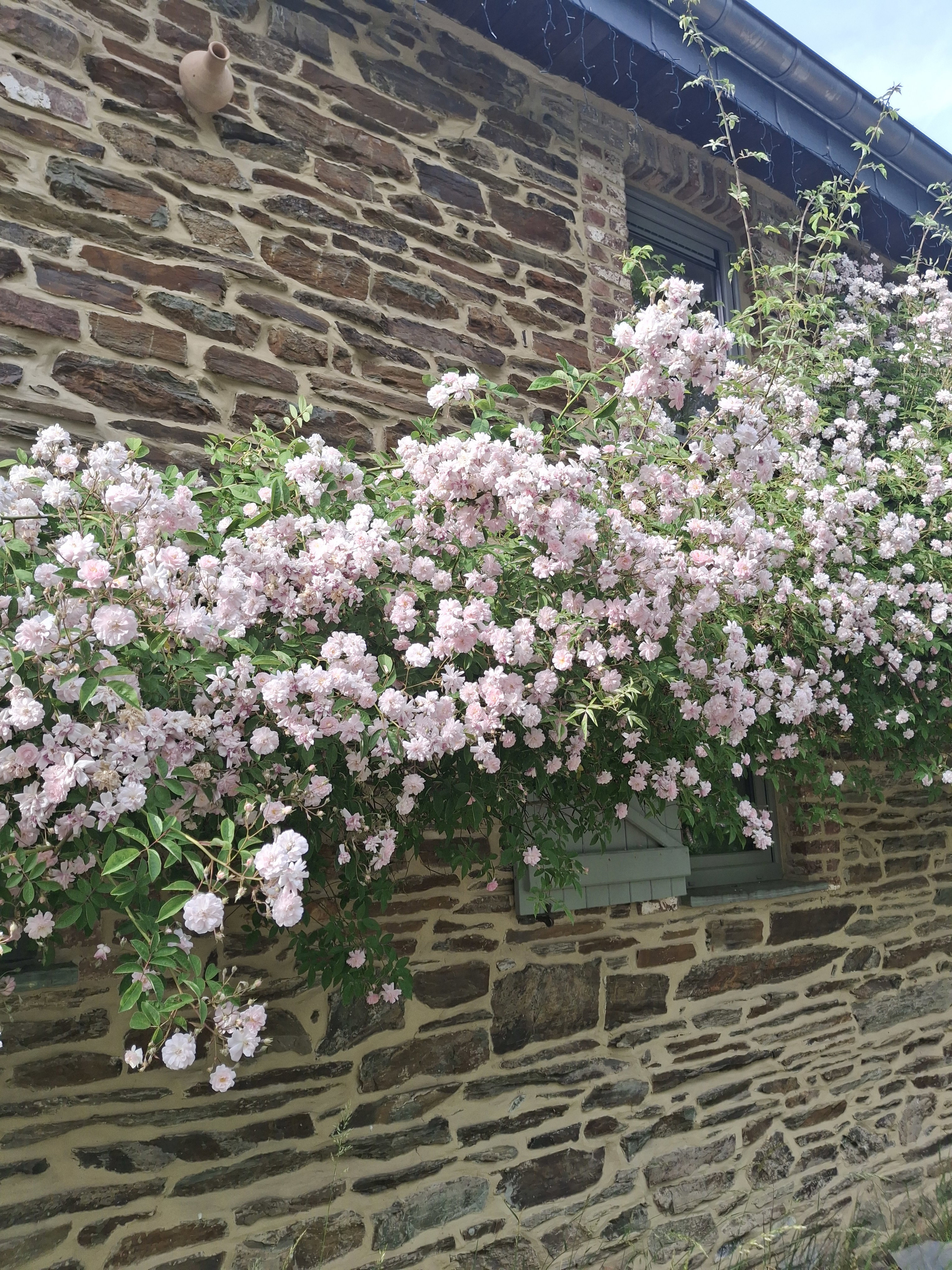Natuurhuisje in Stoumont